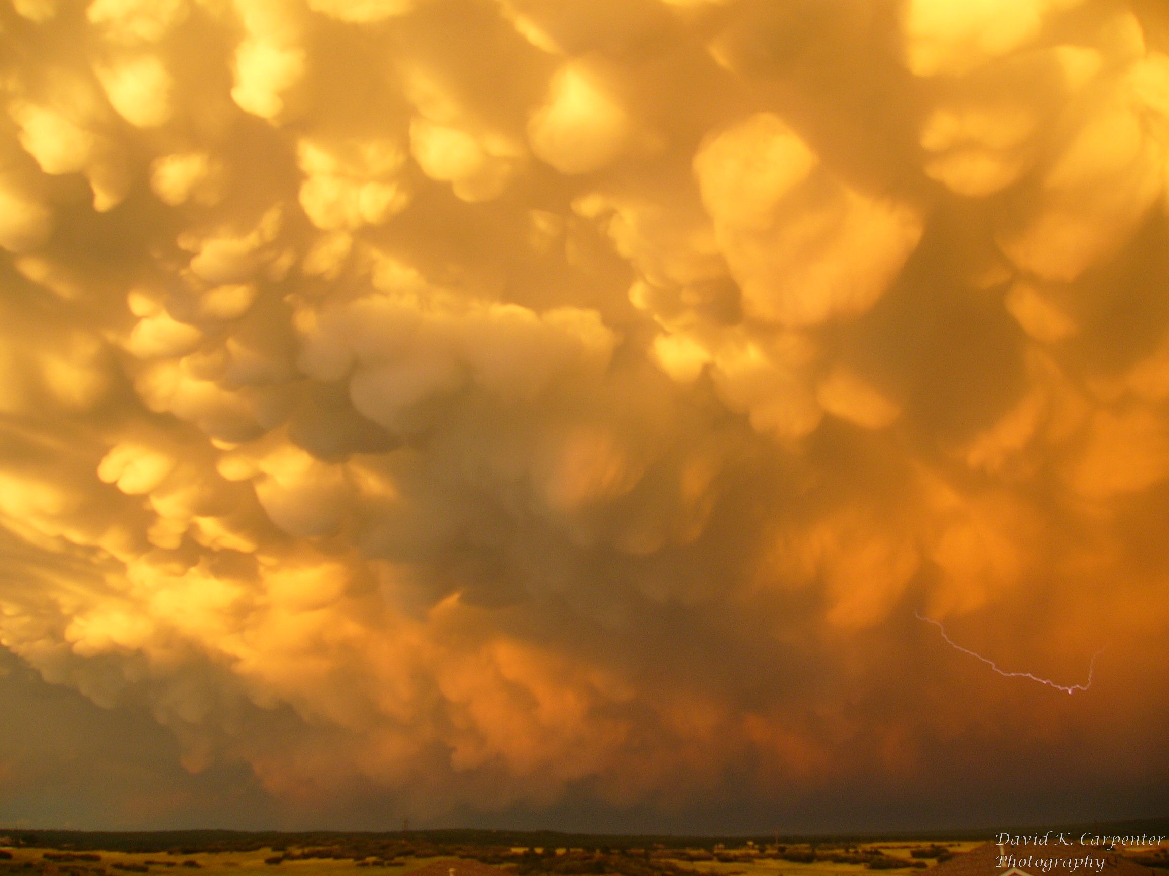 David_K_Carpenter_Photography_0797