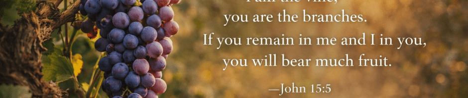 Grapevine with ripe grapes and the Bible verse John 15:5 about abiding in Christ and bearing fruit