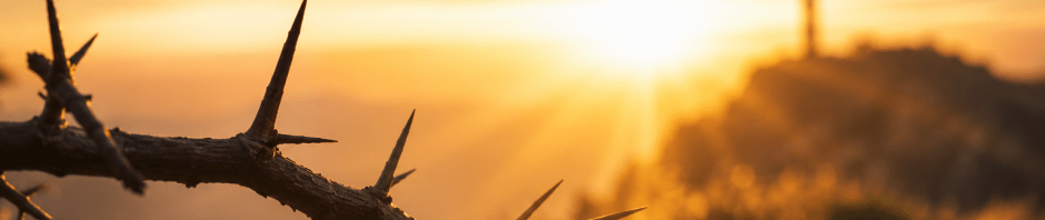Thorn-covered branch in the foreground with a cross in the distance at sunrise symbolizing Paul’s thorn in the flesh and God’s sufficient grace