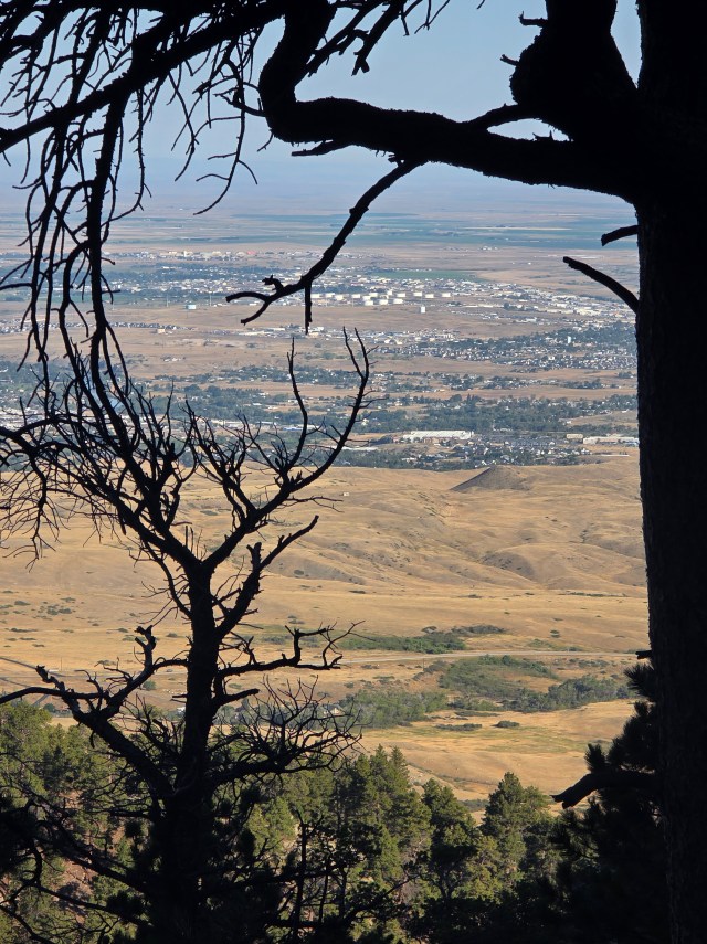 View of Casper, Wyoming and the surrounding plains framed by pine trees from Casper Mountain