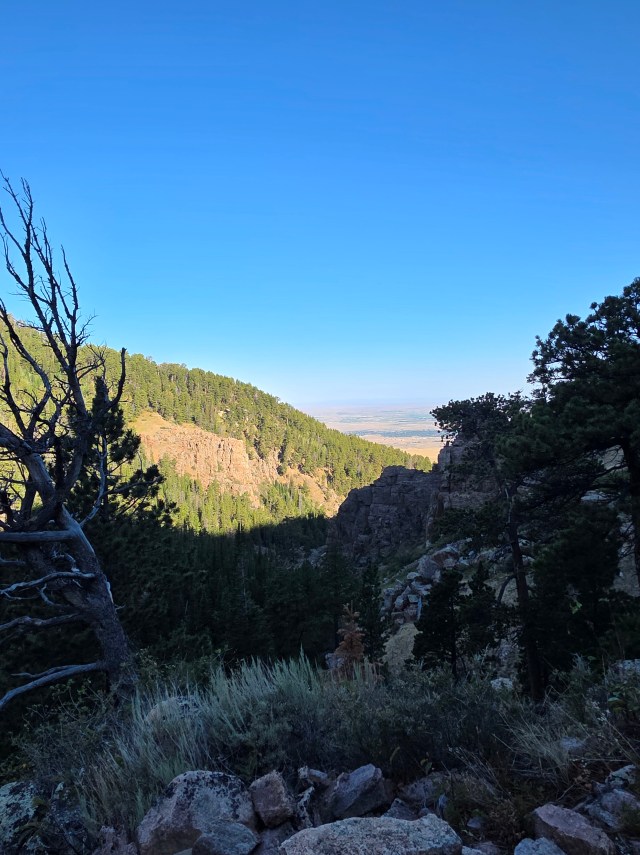 Sunlit rocky canyon and pine forest overlooking the plains from Casper Mountain in Wyoming