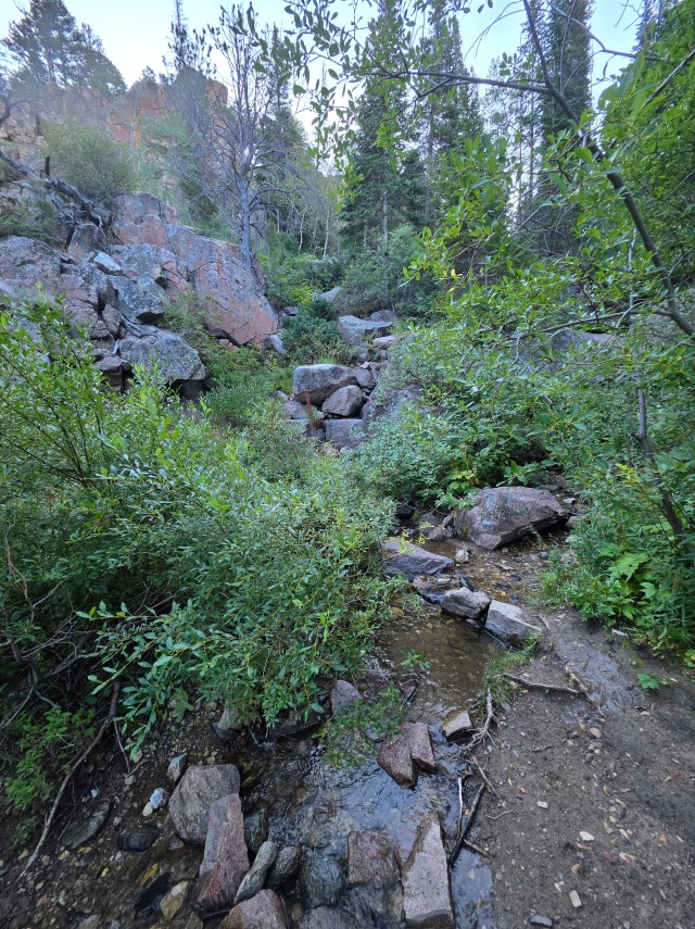 Small mountain stream flowing through rocks and dense green vegetation on Casper Mountain in Wyoming